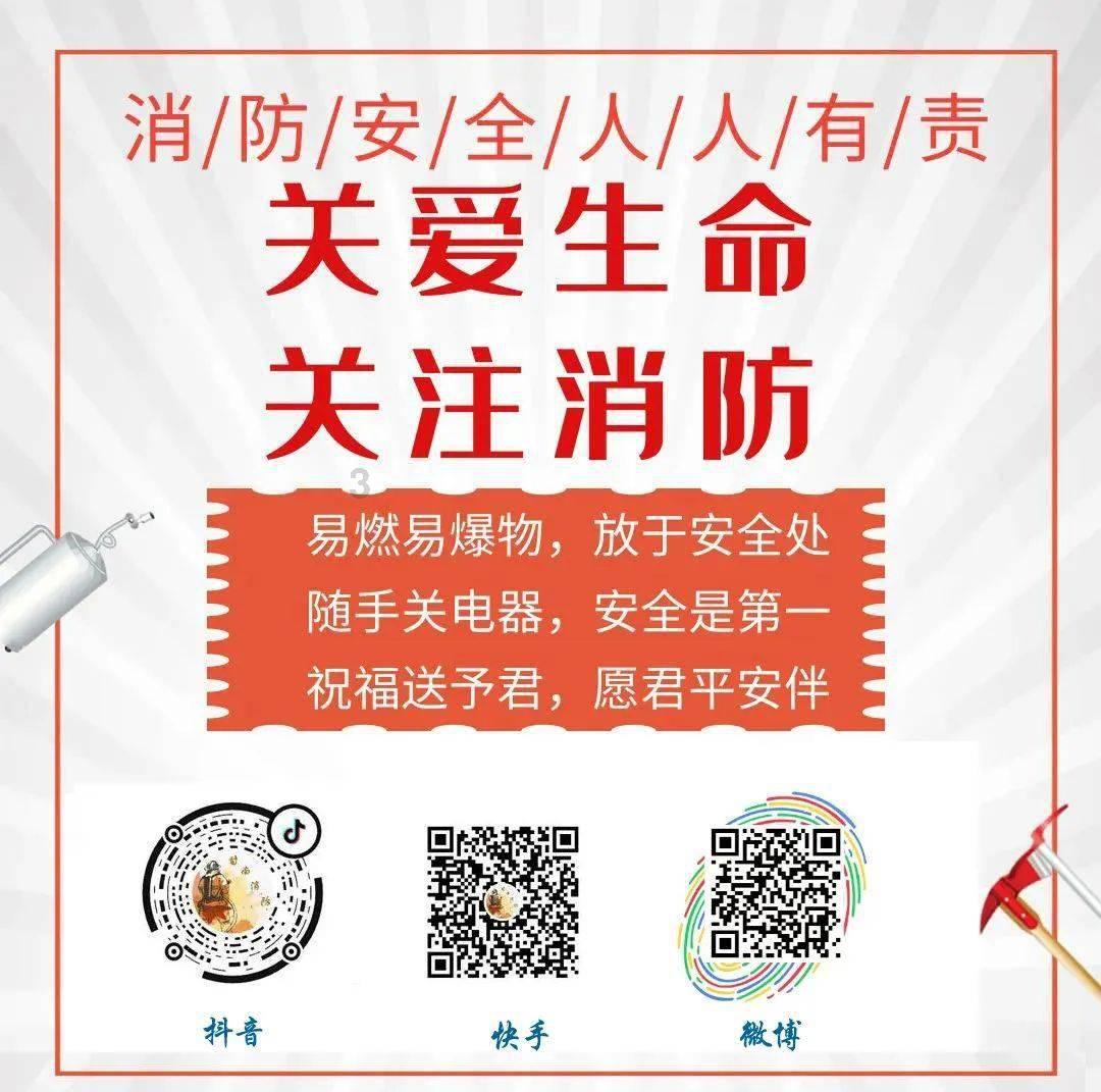 小猫钓鱼开船版最新版下载